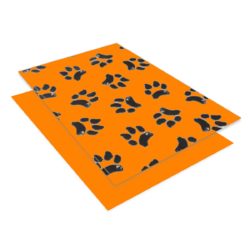 Orange Solid or with Black Paw Print
