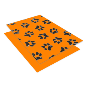Orange Solid or with Black Paw Print