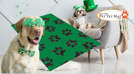 St. Paddy’s Day • Are You Ready?